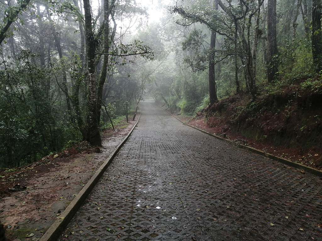 Parque Ecológico Municipal Senderos de Alux