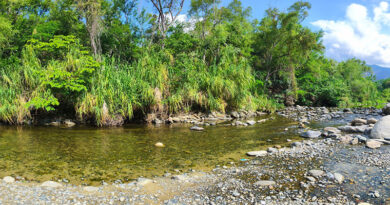 Balneario Barranco Colorado