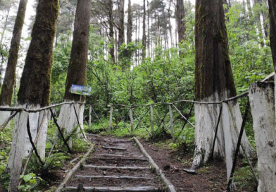 Parque Ecológico Quetzalí