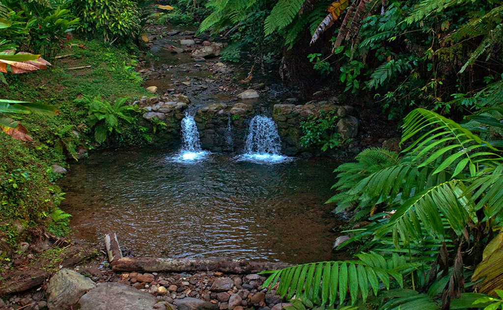 Reserva Natural Finca El Patrocinio